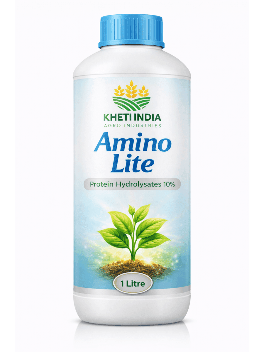 Amino Lite