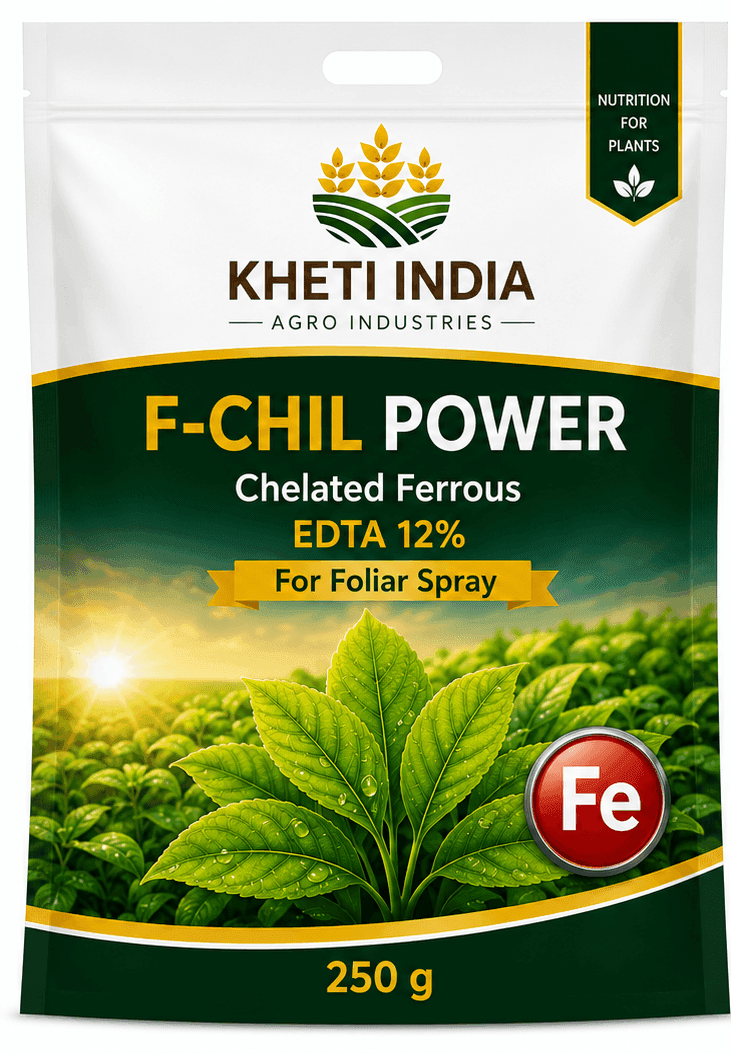 F-CHIL Power
