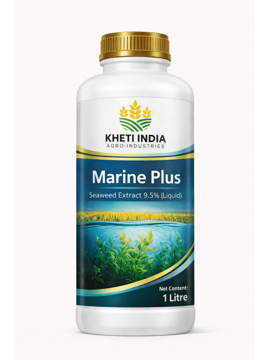 Marine Plus