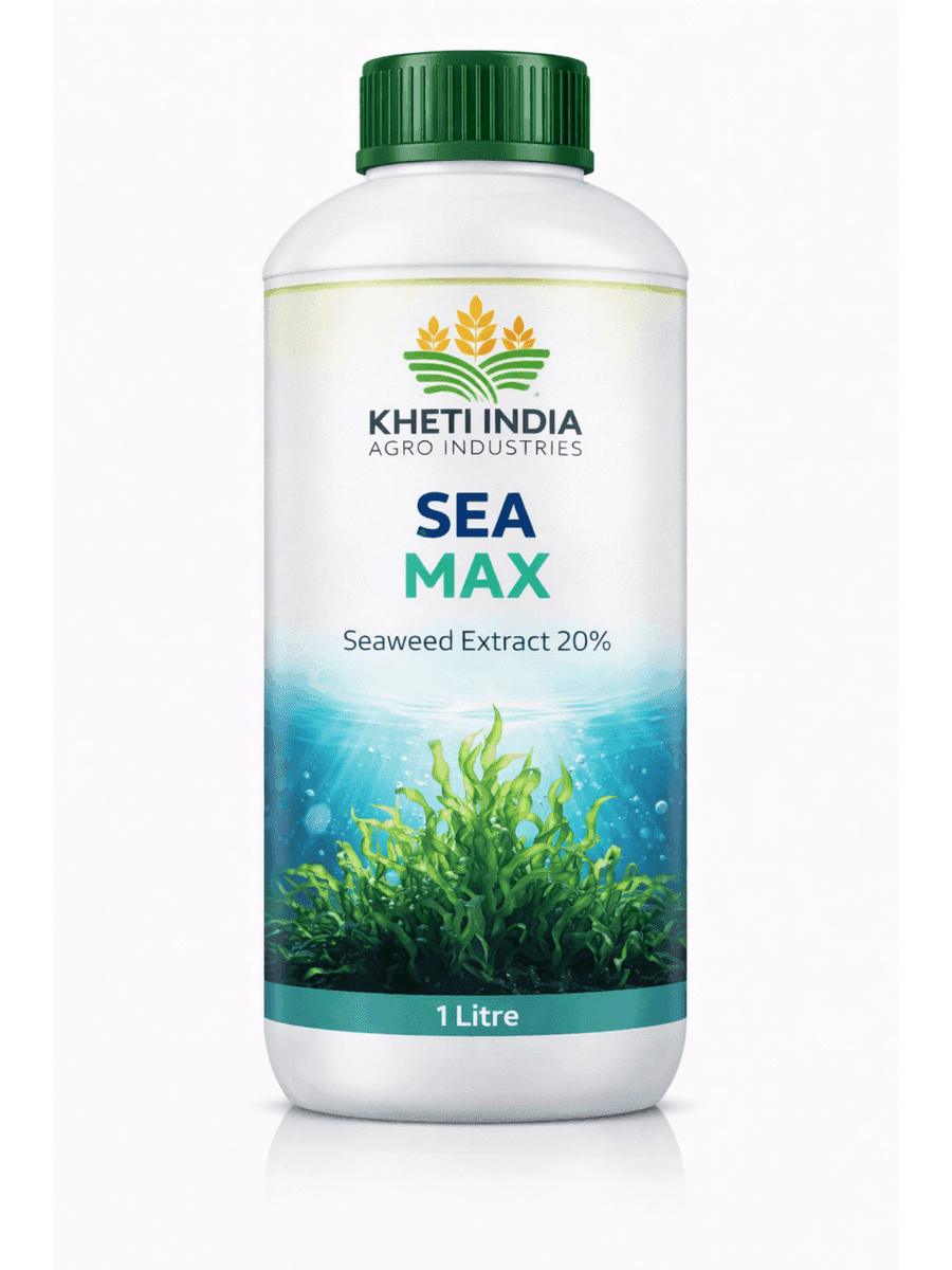 Sea Max