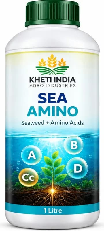 Sea Amino — Seaweed + Amino Acids